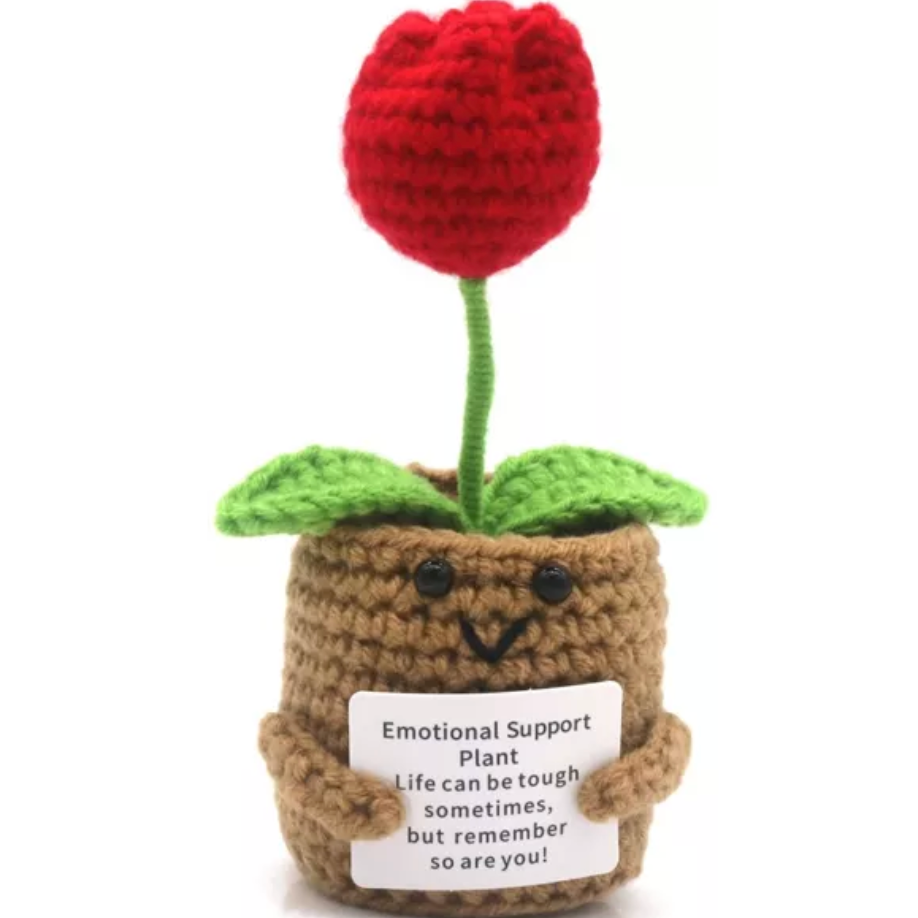 Plante décorative au crochet avec pot souriant et fleur rouge